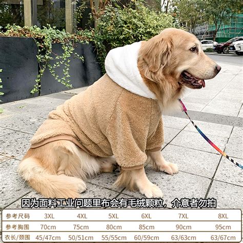 動物品牌衣服|2024 【狗狗衣服推薦】幼犬、中型犬、大型犬，各式。